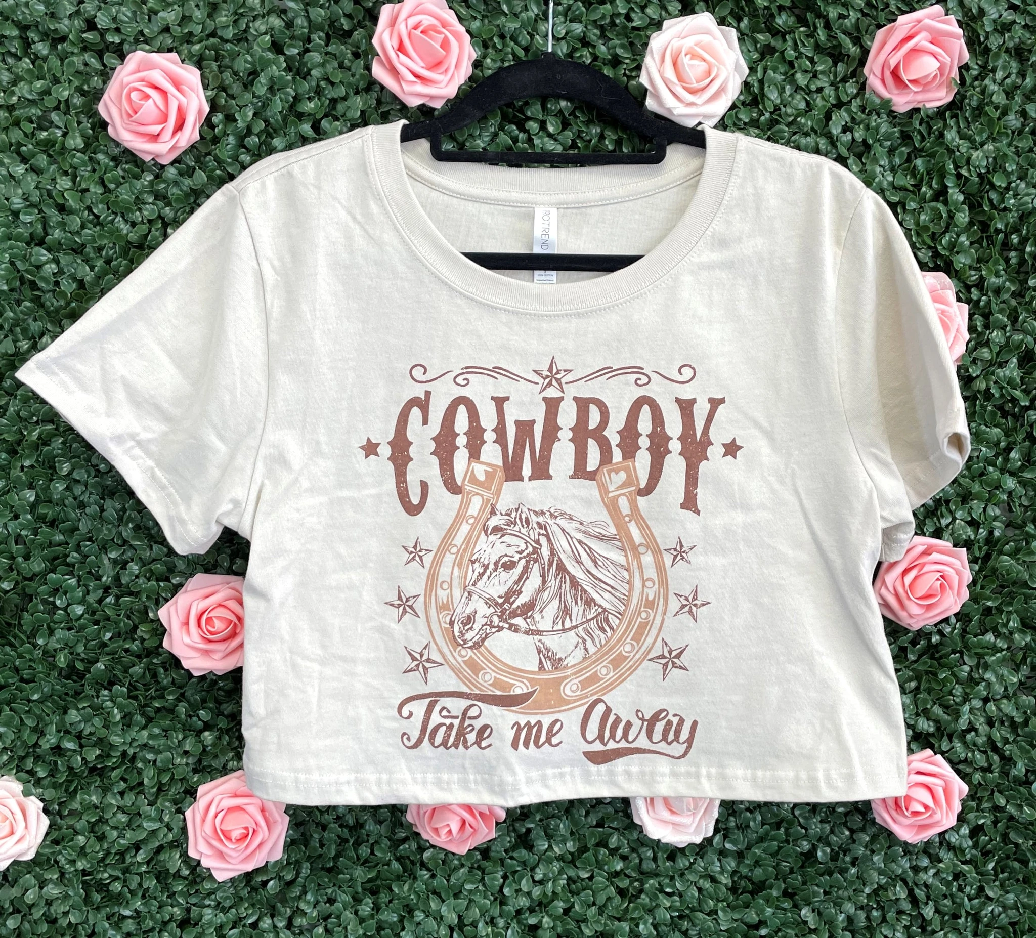 Cowboy, Take Me - Stone